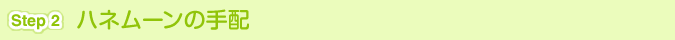 [Step 2]ハネムーンの手配